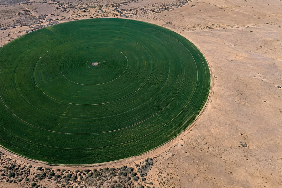 Circular Center-Pivot Irrigation Field Forms a Green Crop Circle Amid Arid Desert Farmland, Aerial Drone View