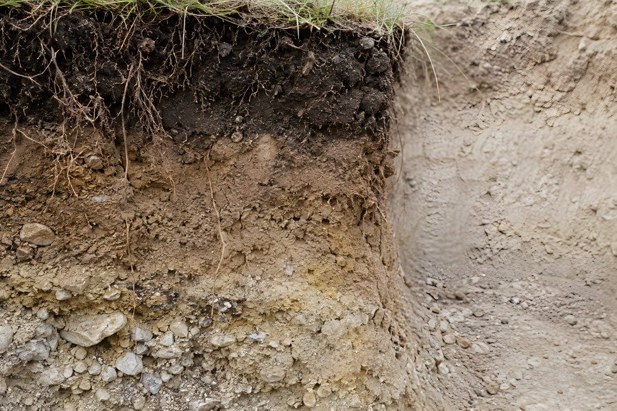 Soil Profile Pit Showing Horizons, Roots and Gravel Layers Beneath Grass