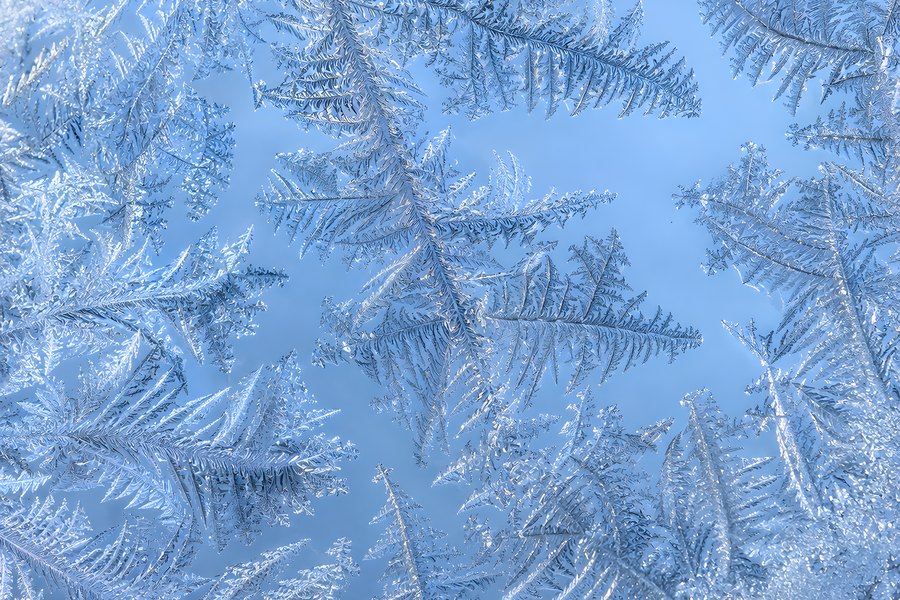 Macro Close-Up of Fern-Shaped Frost Crystals on a Window Pane with Pale Blue Sky Behind