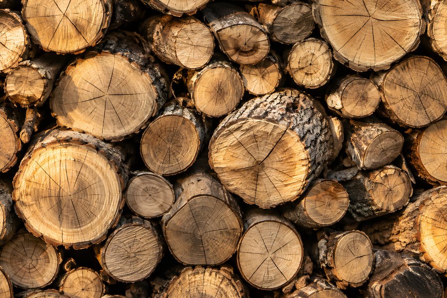 Densely Stacked Firewood Logs with Circular End Grain and Growth Rings for a Rustic Wood Texture Background