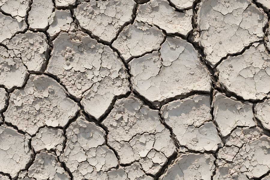 Dry Cracked Earth Ground Texture with Curling Mud Plates, Top-Down Drought Background
