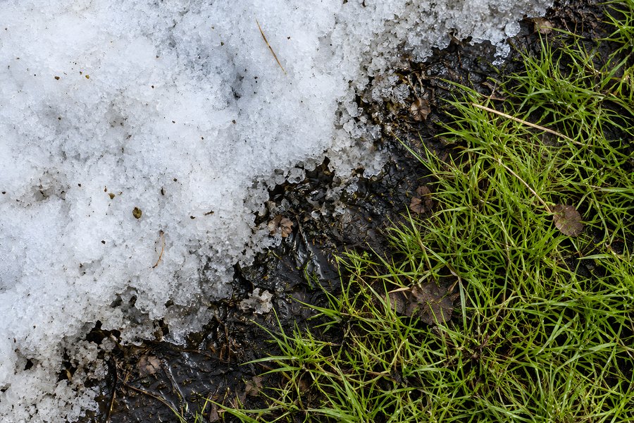 Close-up of melting snow retreating across a grass lawn, revealing wet soil and fresh green blades in early spring thaw